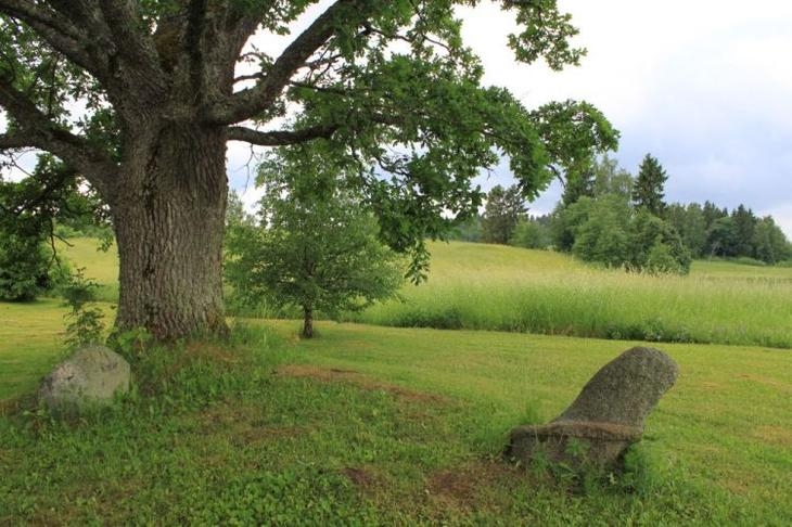 Kodu Pikareinu külas Valgjärve vallas (Meida Mõttus)