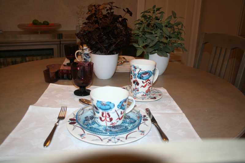 iittala Korento luanõud, Aalto vaagen, Shishi kunsttaimed