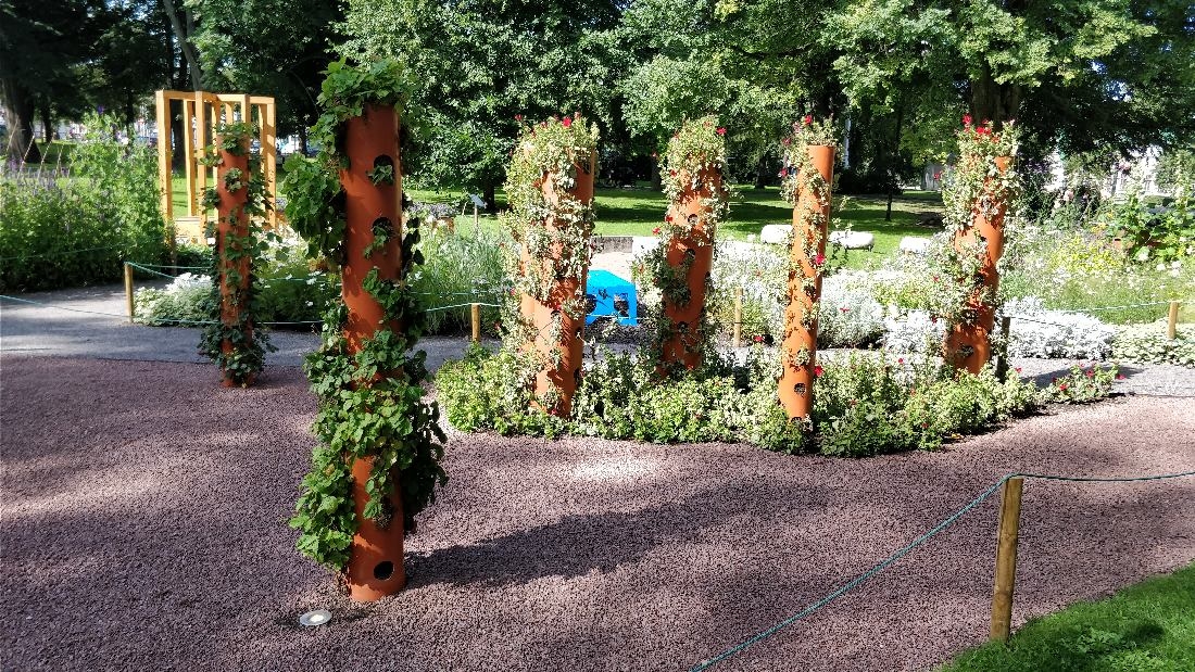 Inspiratsiooni aiakujunduseks Tallinna Lillefestivalilt 2017: "Pereaed" ja "Ühevärviline aed". Inspiratsiooni aiakujunduseks Tallinna Lillefestivalilt 2017: "Pereaed" ja "Ühevärviline aed".