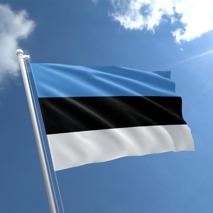 Eesti lipp, foto: lonaeestlane.ee Eesti lipp, foto: lonaeestlane.ee