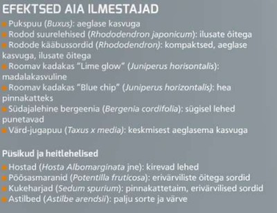 Pilt 2 - Efektsed aia ilmestajad