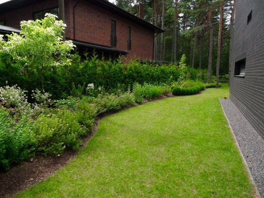 Pilt 3 - Kahe maja eraldamiseks on aia ees tihe kooslus (hekk+madamad taimed). Loob hubasust ja paneb aia piiri paika.