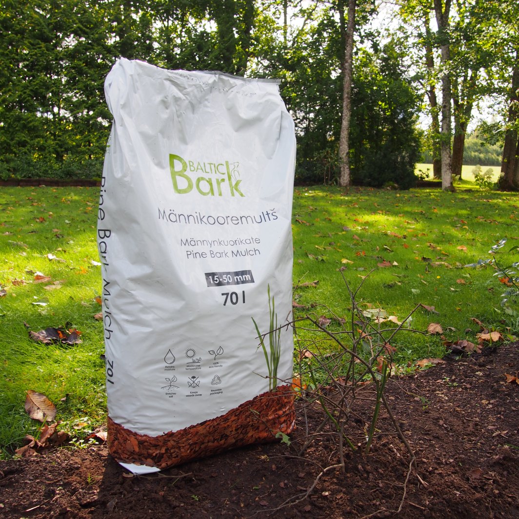 Rooside multšimine - alusta tuleb enne püsivate külmade saabumist!