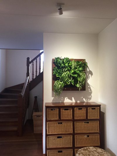Pilt 7 - Growerts vertical landscaping - enjoy your wonderful plant painting
