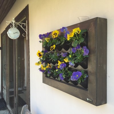 Pilt 8 - Growerts vertical landscaping - enjoy your wonderful plant painting