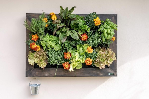 Pilt 9 - Growerts vertical landscaping - enjoy your wonderful plant painting