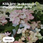 Gardest: parimad pakkumised
