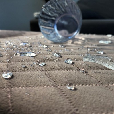 Diivanikangas plekivabaks nano tekstiili kaitsevahendiga!