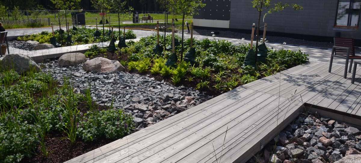 Kodu energiate muutmise õpetus - kuhu läheb pilk, sinna ka energia!