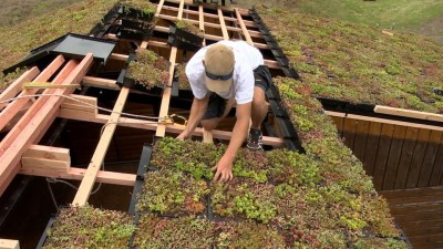 Innovaatiline taimekatus ei vaja erilist konstruktsiooni ja sobib igale majale