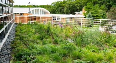 Murukatus on kasulik linna ökokliimale ja aitab säästa küttekuludelt