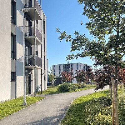 Kas kodu uues majas on energiasäästlikum? Kas kodu uues majas on energiasäästlikum?