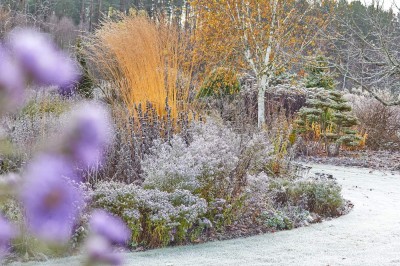 5 põhjust, miks sügisel püsikuid ja kõrrelisi mitte maha lõigata