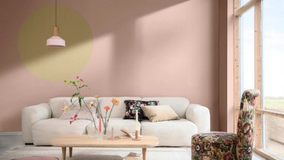 Wild Wonder TM-iga värvitud ring toob ootamatult ja rõõmsalt esile seinast tooni võrra heledama roosa lambi. - 2