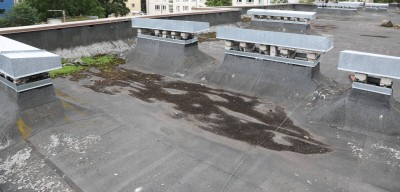 Halvasti õnnestunud katuse remondilahendus ja halb hooldus on viinud katuse enneaegselt kapitaalse remondi vajaduseni. Foto Alo Karu - 2