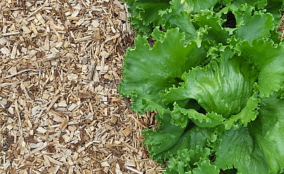 Multši kasutamine tarbeaias