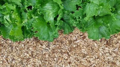 Multši kasutamine tarbeaias