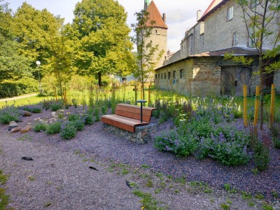 Tallinna linna näidisaed illustreerib Tallinna kui Euroopa rohelist pealinna 2023, kus kokku on põimunud kivine linnaruum koos rohelise looduse ja sinaka merepiiriga. Teostaja: Tallinna Strateegiakeskus - 1