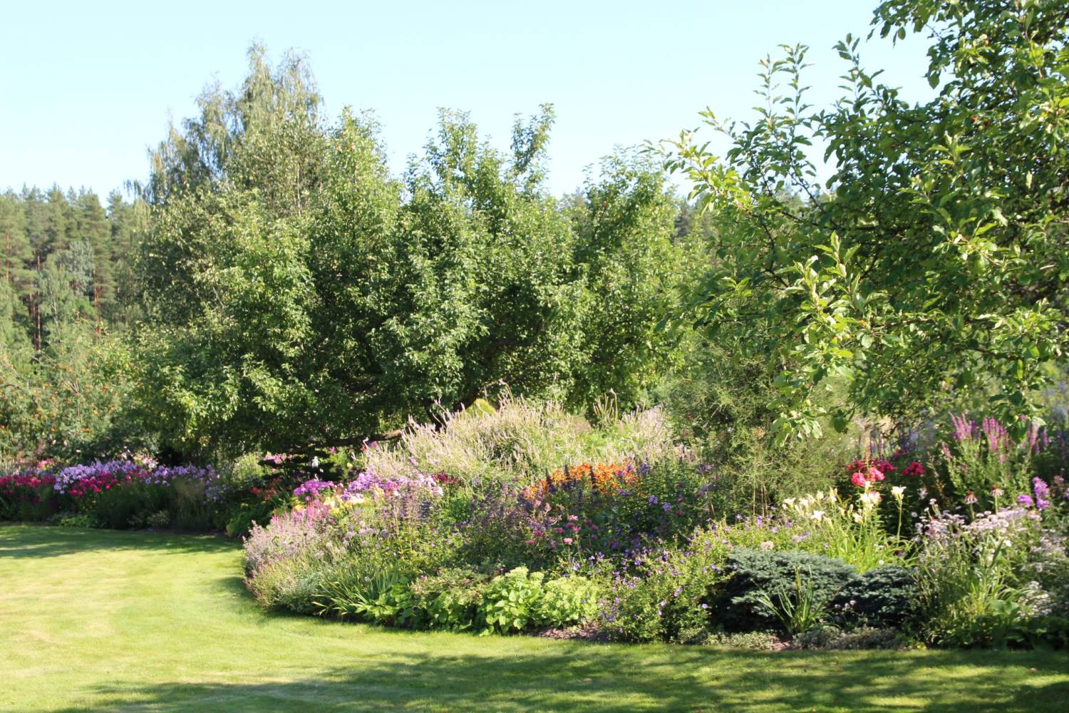 Kuidas luua igava hekimüüri asemel aeda kaunis kooslus? Parima aeg alustada istutamisega!