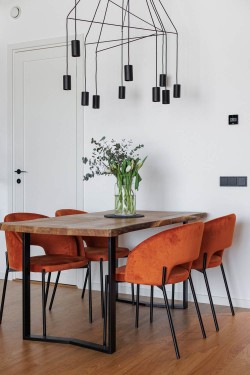 5 - DERBY kollektsiooni puhas ja elegantne disain viitab 50ndate ja 60ndate Skandinaavia stiilile. Pukk-tooli tugev struktuur on valmistatud saarepuust.