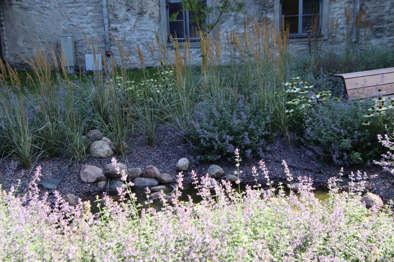  Inspiratsiooni peaaegu hooldusvaba aia rajamiseks