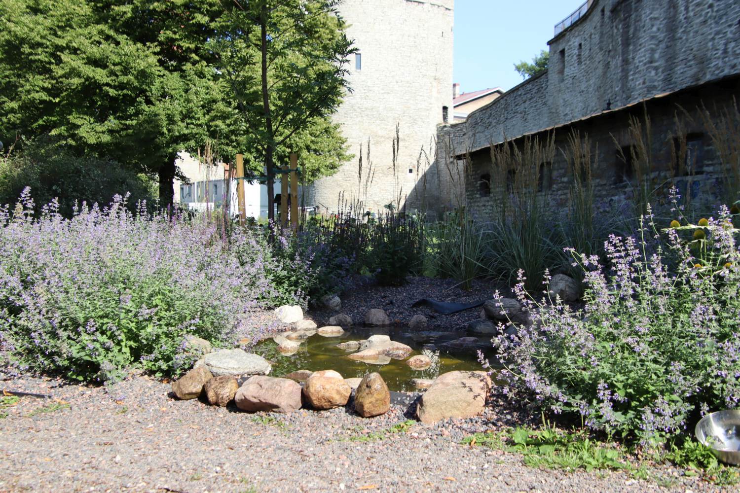  Inspiratsiooni peaaegu hooldusvaba aia rajamiseks