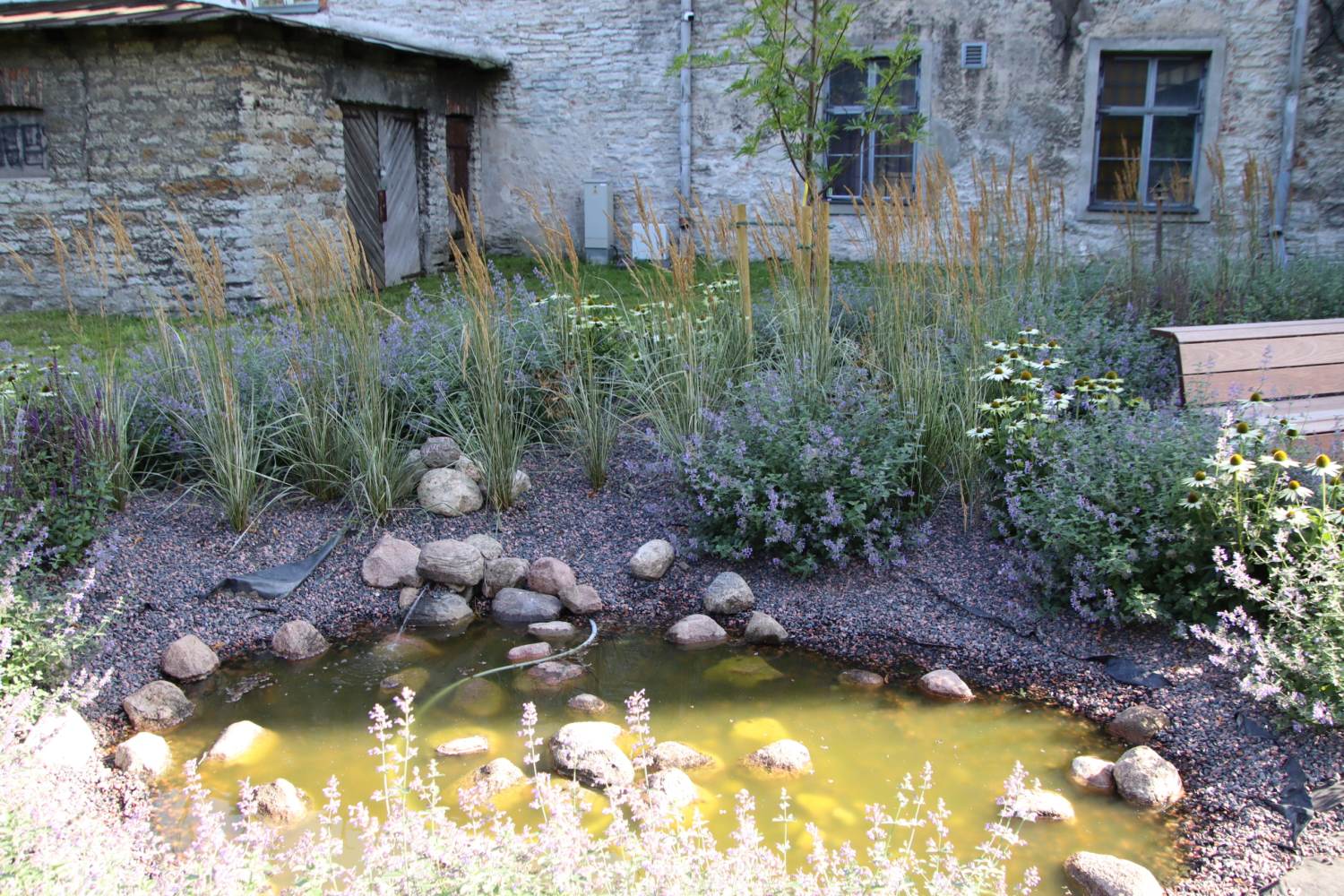  Inspiratsiooni peaaegu hooldusvaba aia rajamiseks