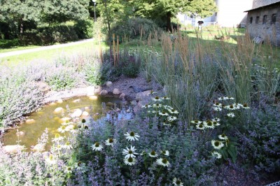  Inspiratsiooni peaaegu hooldusvaba aia rajamiseks