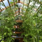 Puidust kasvuhoone konstruktsioon ja taimekonteiner vajavad mürgivaba hooldust