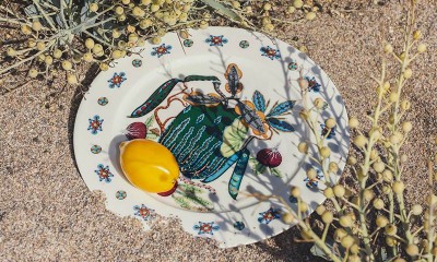 Iittala Taika Sato lauanõude uus kollektsioon: rikkaliku mustriga puu- ja köögiviljad