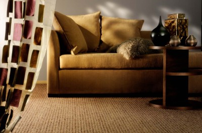 Miks looduslikust kiust vaip on nutikas investeering?