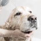 Vee karedus ja pehmus – kuidas leida tasakaal?