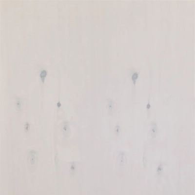 Seinapaneel Storm 9x600x1200mm valge - 2