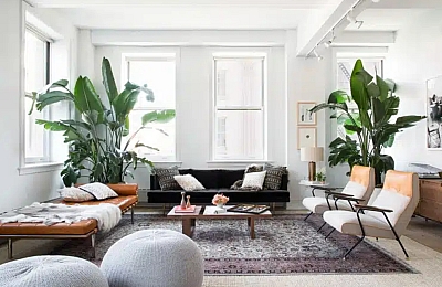 Tulihobuse aasta 2026 ja kodu feng shui – kuidas luua tasakaal kiirete energiate keskel