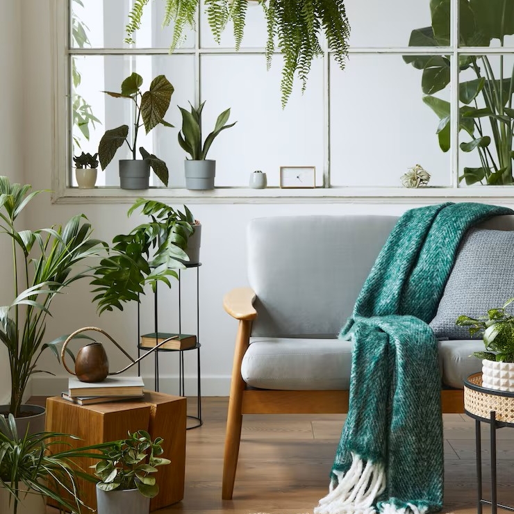 Tulihobuse aasta 2026 ja kodu feng shui – kuidas luua tasakaal kiirete energiate keskel