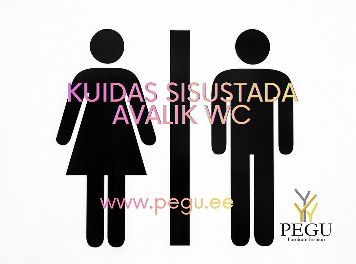 Kuidas õigesti sisustada avalik WC: PEGU professionaalsed lahendused eri tüüpi objektidele