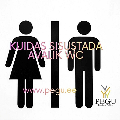 Kuidas õigesti sisustada avalik WC: PEGU professionaalsed lahendused eri tüüpi objektidele