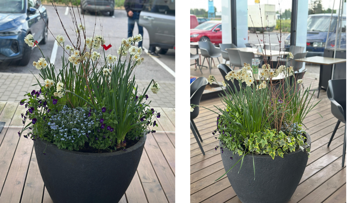 Õitsev kevad konteineris: kuidas alustada ja mida arvestada 5