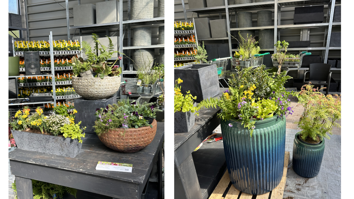 Õitsev kevad konteineris: kuidas alustada ja mida arvestada 3