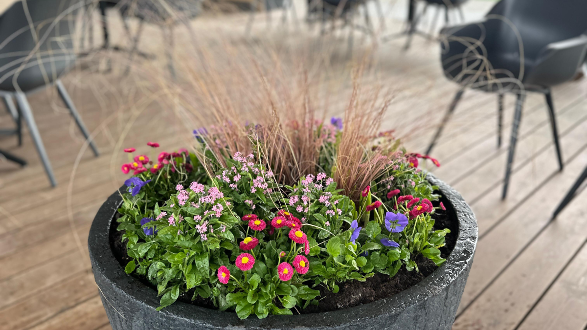 Õitsev kevad konteineris: kuidas alustada ja mida arvestada 13