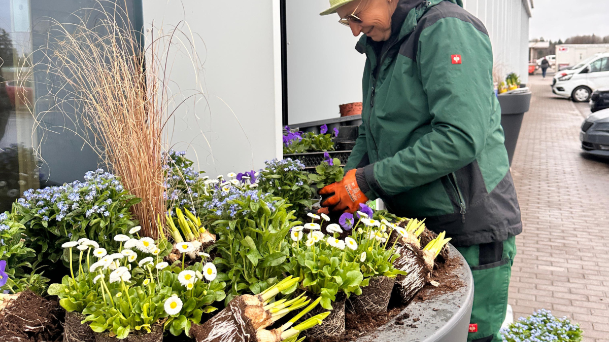 Õitsev kevad konteineris: kuidas alustada ja mida arvestada 12