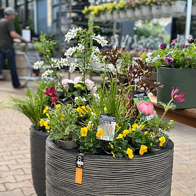 Videolugu | Õitsev kevad konteineris – kuidas alustada ja mida arvestada. 14 ideed pildis