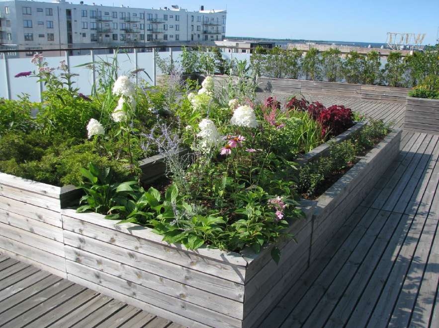 8 - VILLEM GARDEN DESIGN aiakujundus, haljastusprojektid