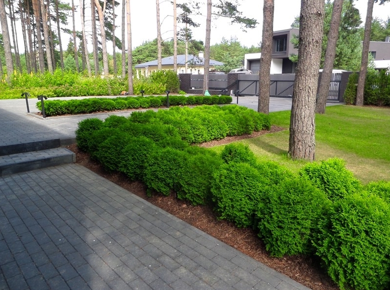 1 - VILLEM GARDEN DESIGN aiakujundus, haljastusprojektid