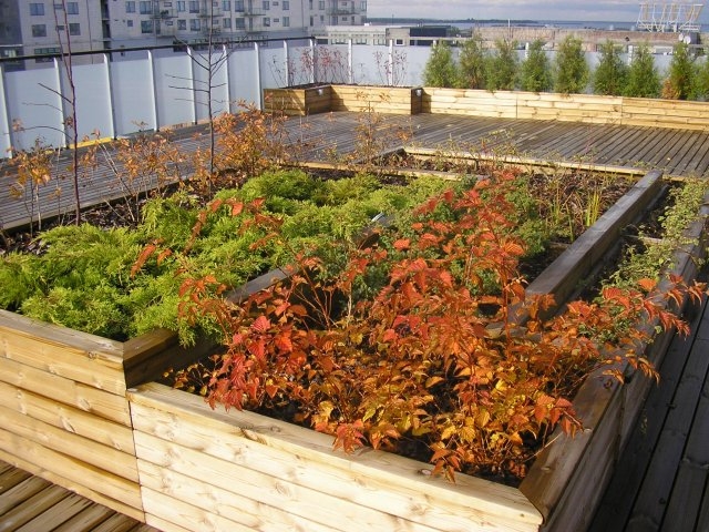 7 - VILLEM GARDEN DESIGN aiakujundus, haljastusprojektid