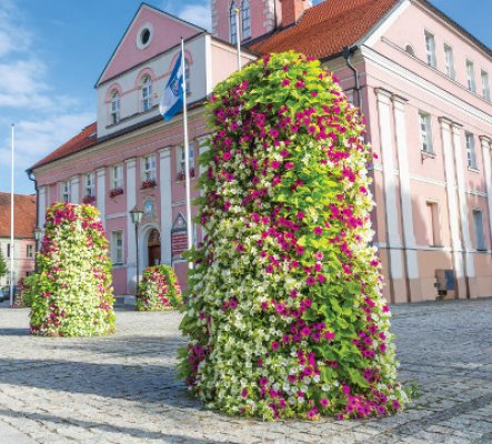 18 - GroWert OÜ growing vertically, flower walls
