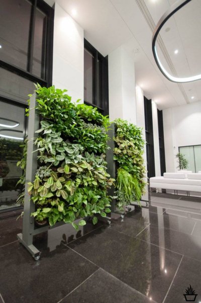 5 - GroWert OÜ growing vertically, flower walls