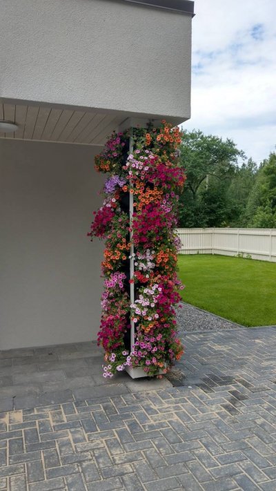 13 - GroWert OÜ growing vertically, flower walls