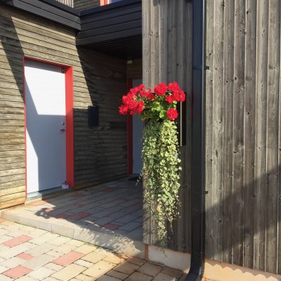16 - GroWert OÜ growing vertically, flower walls