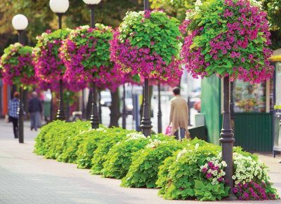 15 - GroWert OÜ growing vertically, flower walls